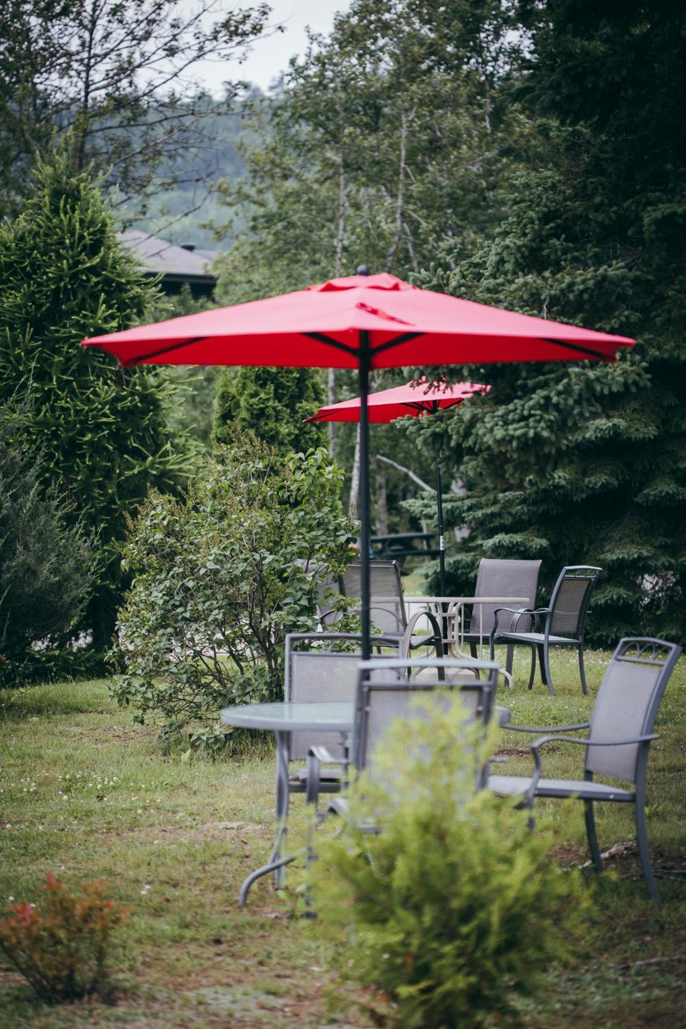 Motel Des Cascades Baie-Saint-Paul Buitenkant foto