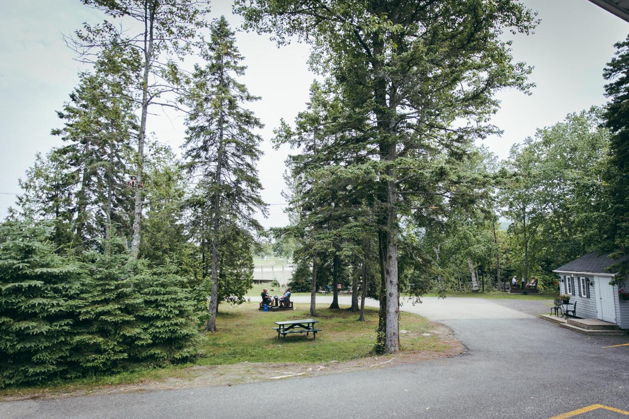 Motel Des Cascades Baie-Saint-Paul Buitenkant foto