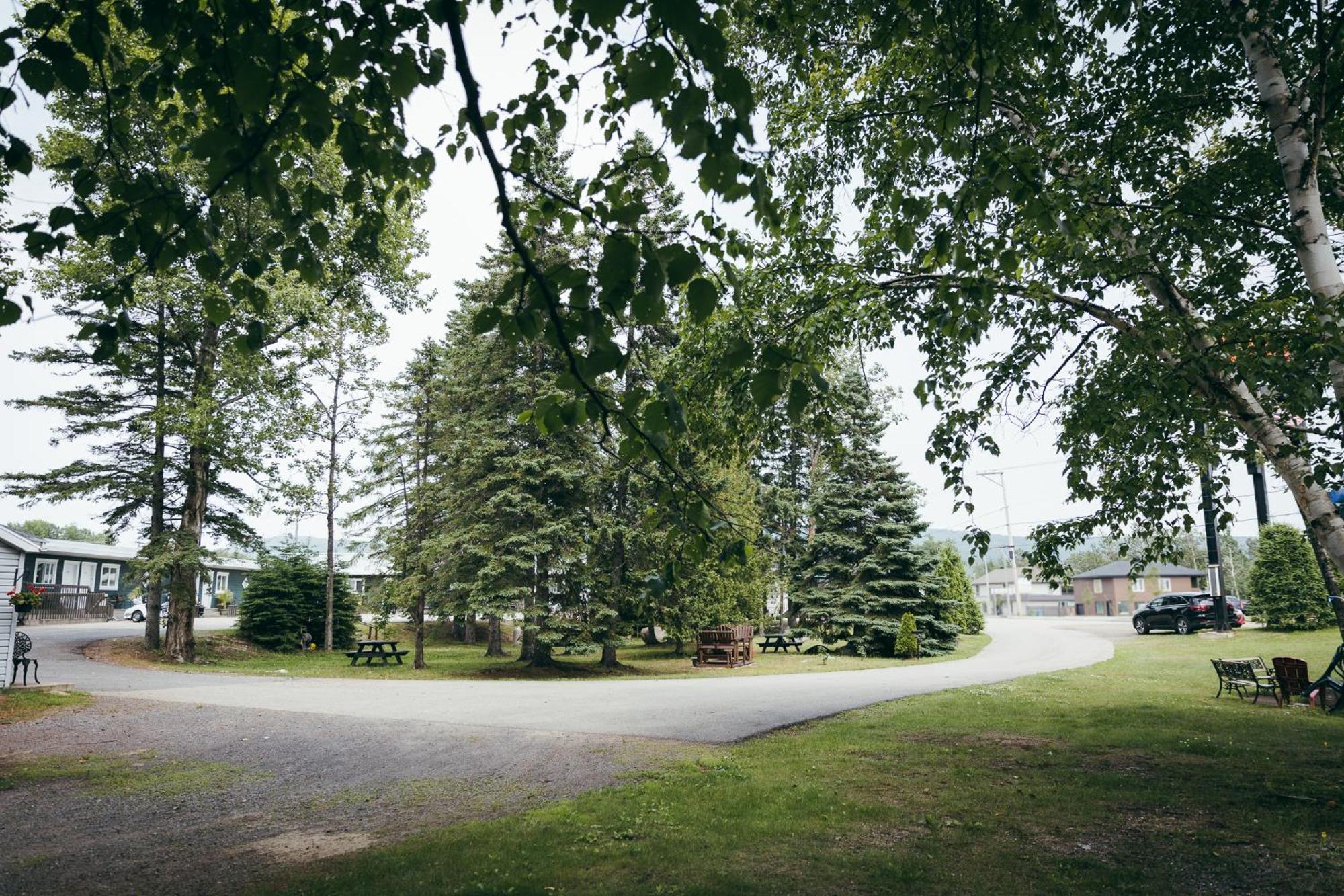 Motel Des Cascades Baie-Saint-Paul Buitenkant foto